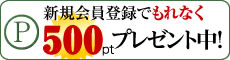 新規会員登録で500ポイントプレゼント！