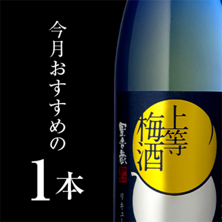 今月のおすすめの1本