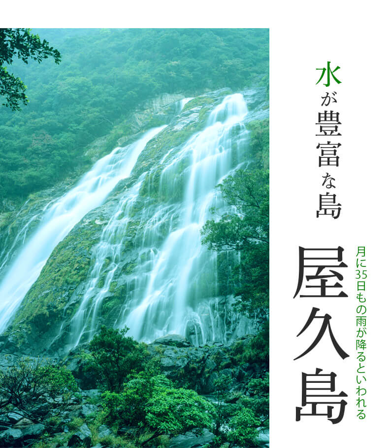 数千年の時を生きた水 雨を作る神秘の島屋久島