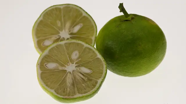 辺塚橙（へつかだいだい）