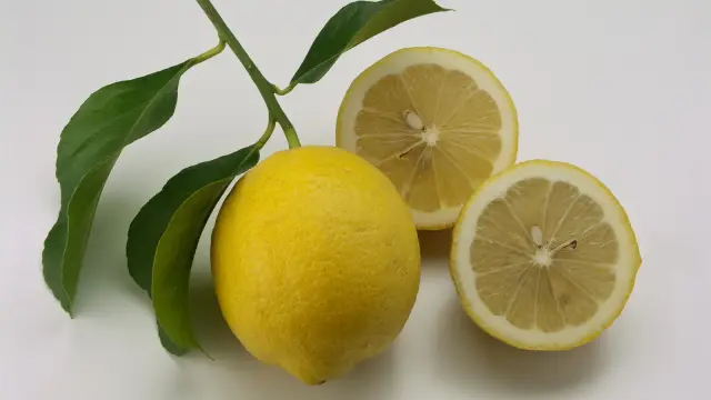 檸檬（レモン）