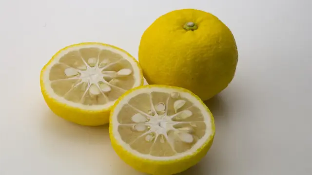 柚子（ゆず）